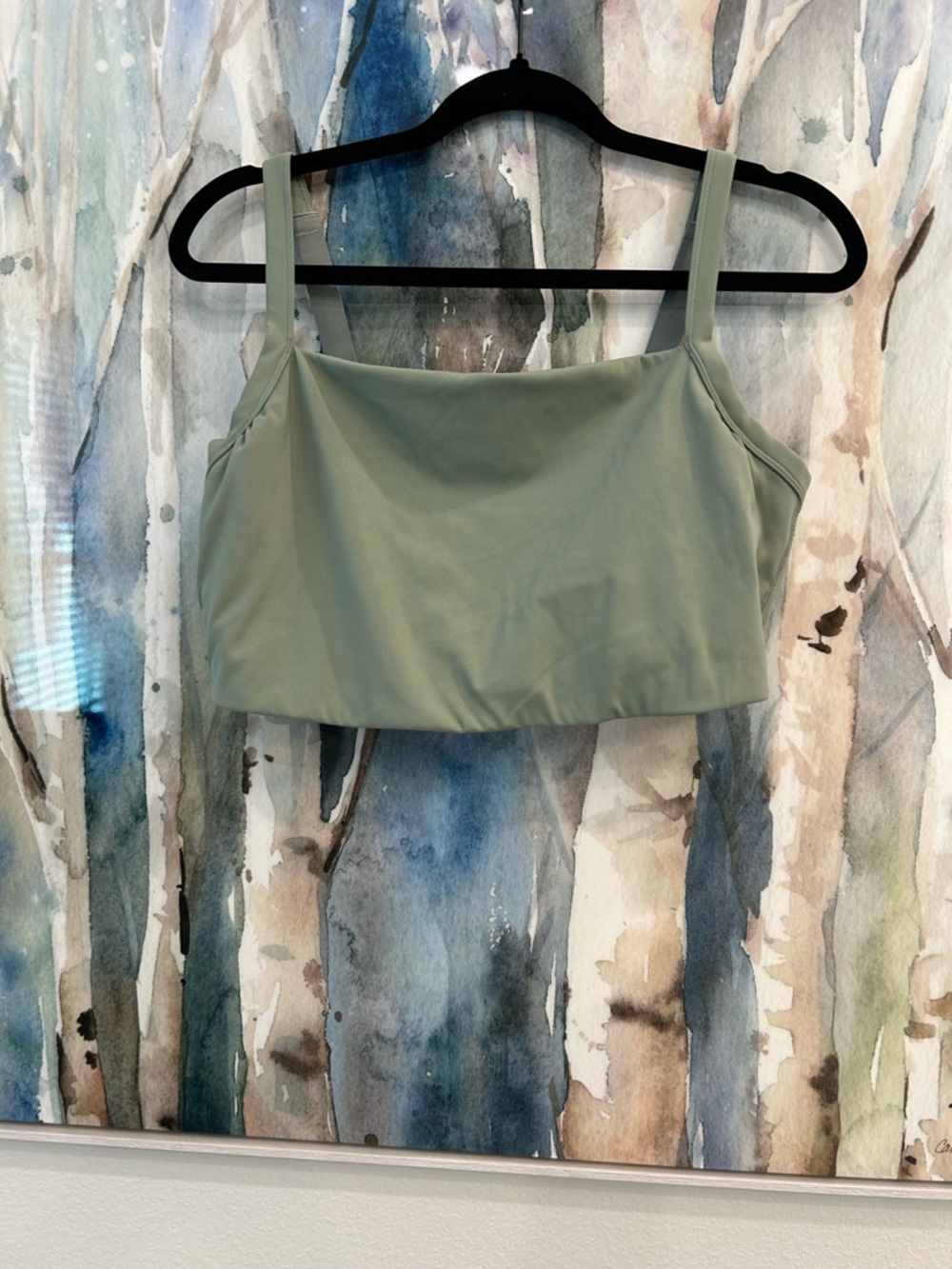 aerie Sage Green Padded Sports Bra